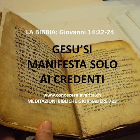 MEDITAZIONI BIBLICHE GIORNALIERE-Gesù si manifesta solo ai credenti