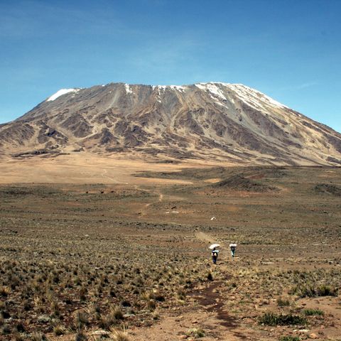 Focus Live # 16 Tre trekking in africa: Ruwenzori, Kilimanjaro e Mt Kenya
