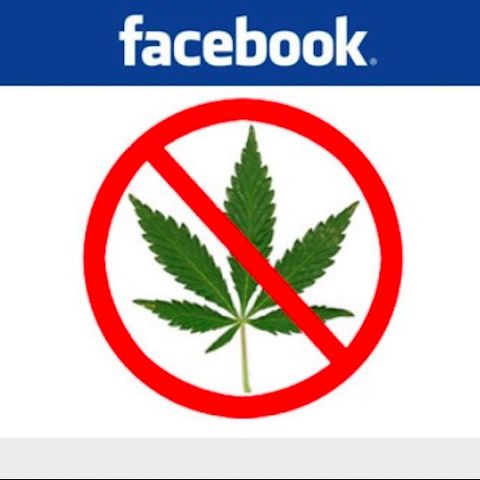 Continua la censura da parte di Facebook nei confronti della Canapa