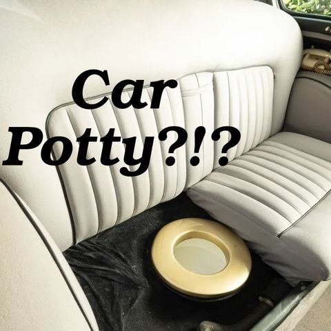 Backseat Car Potty, Hiding Drugs From Butt To Mouth, and Airbnb Sex Dungeons