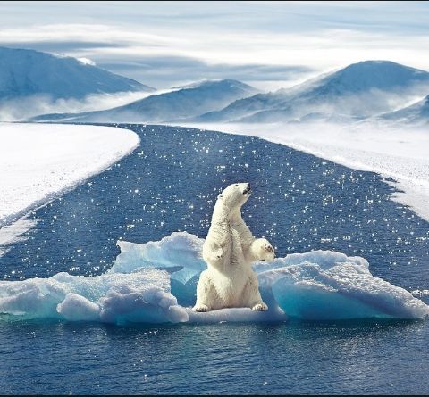 Por qué TODOS deberíamos ser ecologistas y cómo empezar a serlo...