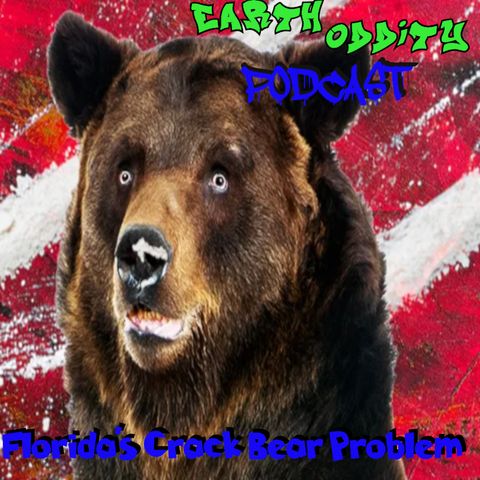 Earth Oddity 303: Florida's Crack Bear Problem