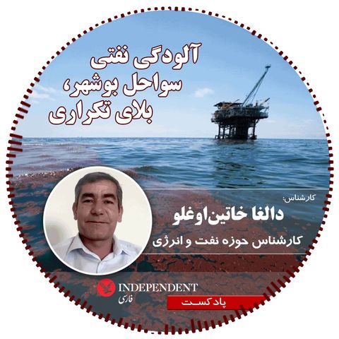 آلودگی نفتی سواحل بوشهر، بلای تکراری