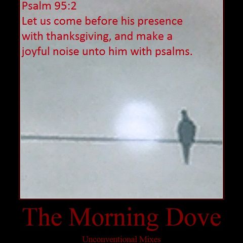 Still-Believe - The Morning Dove