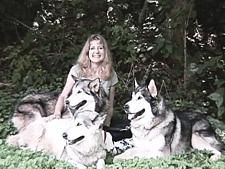 Intuition, Animal Communication, and Wolves!