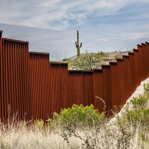 Border Walls Really Do Work