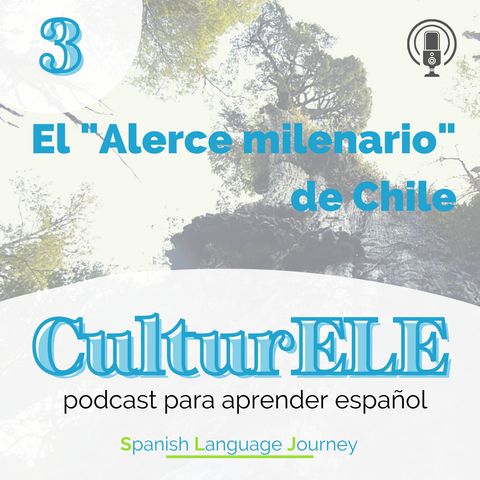 EP3 Árbol milenario de Chile