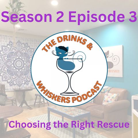 S2E3: Choosing the Right Rescue