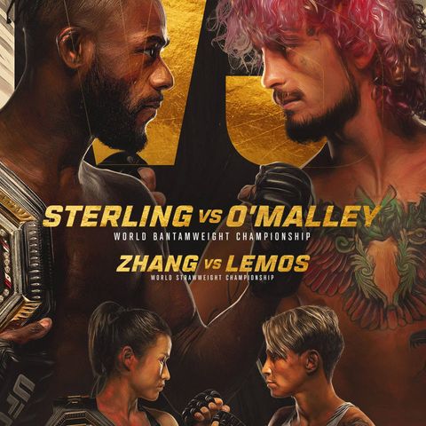 UFC 292 Preview