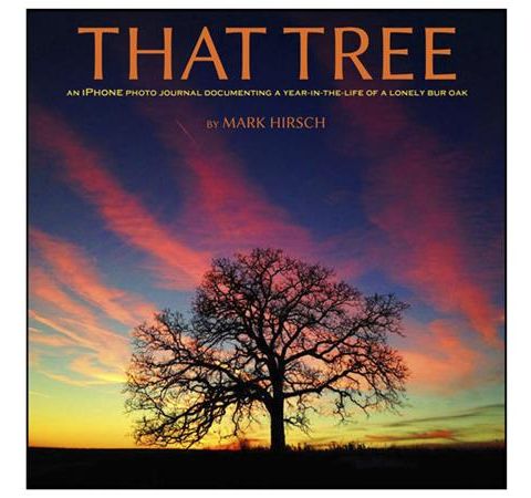 Mark Hirsch - That Tree