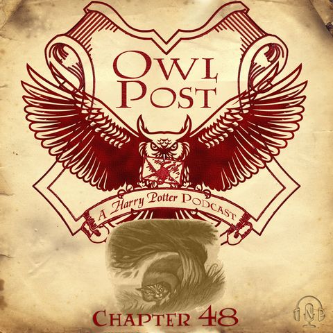 Chapter 048: Gyffindor versus Ravenclaw