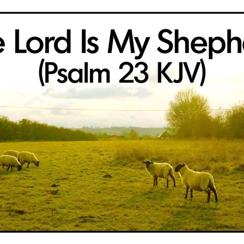The Lord Is My Shepherd And I Don't Have To Want