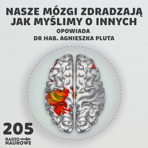 #205 Neuronauka społeczna – mózgi lubią swoich | dr hab. Agnieszka Pluta