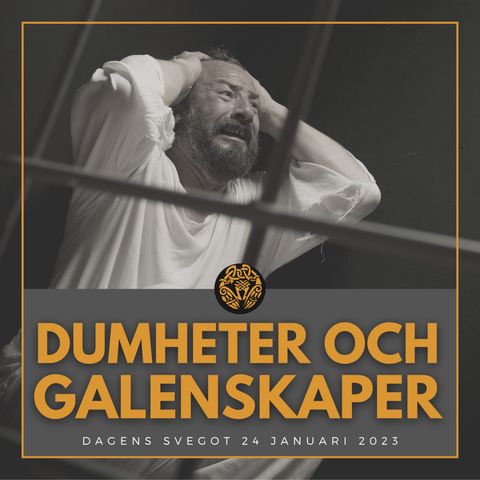 Dumheter och galenskaper