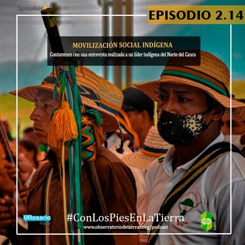 Movilización social indígena