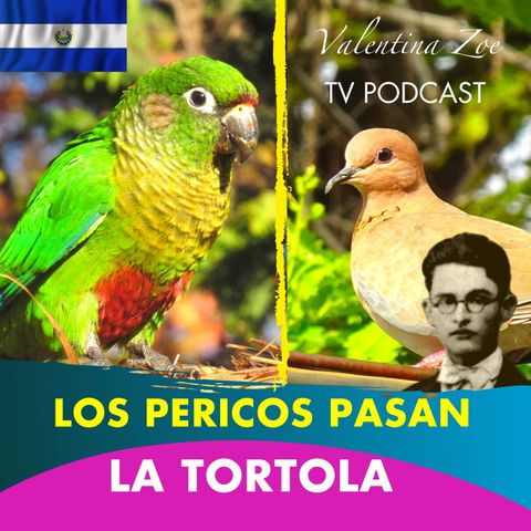 LOS PERICOS PASAN ALFREDO ESPINO🦜🌤️ | La Tortola Alfredo Espino🕊️🌄 | Poemas del Poeta Alfredo Espino
