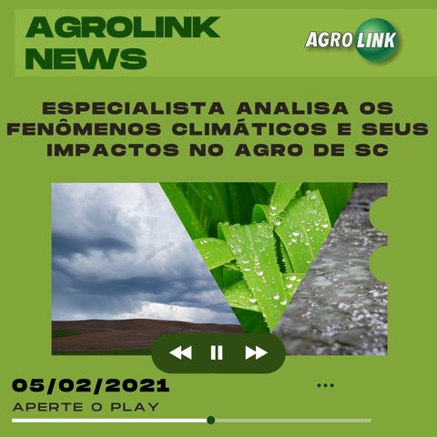 Agrolink News - Destaques do dia 05 de fevereiro