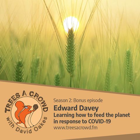 Edward Davey: Learning how to feed the planet in response to COVID-19