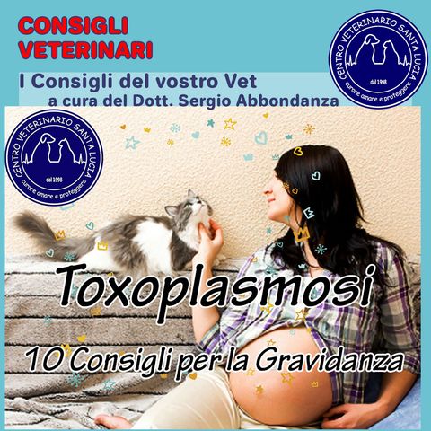 10 - Toxoplasmosi: 10 consigli per prevenire l'infezione di toxoplasmosi nella donna in gravidanza.