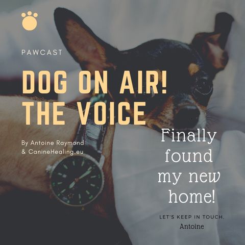 ​Episode 2:  Follow me at    https://anchor.fm/dog-on-air