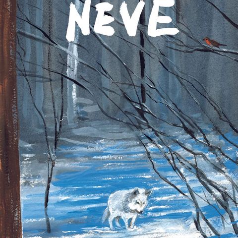 Neve in libreria