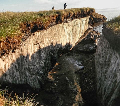 L'erosione del permafrost riduce il sequestro di carbonio negli oceani