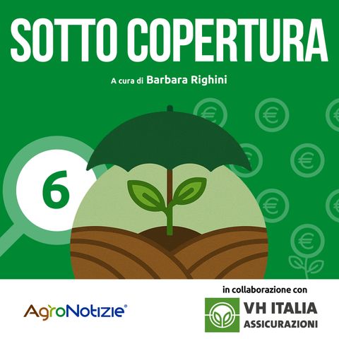 Dall'alto
