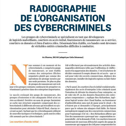 Focus : Radiographie de l'organisation des cybercriminels