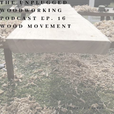 #16. Wood Movement