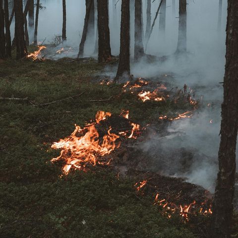 Semillas de desigualdad: cosechando el cambio climático