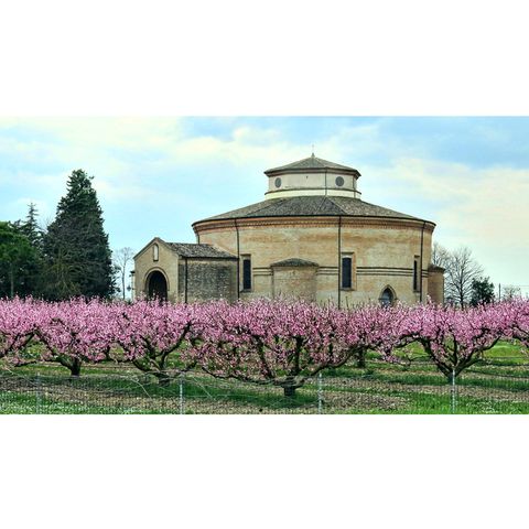 Santuario Santa Maria delle Grazie di Fornò a Forlì (Emilia Romagna)