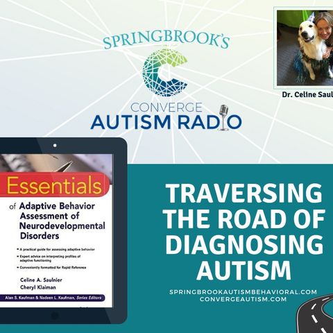 Traversing the Road of Diagnosing Autism with Dr. Celine Saulnier
