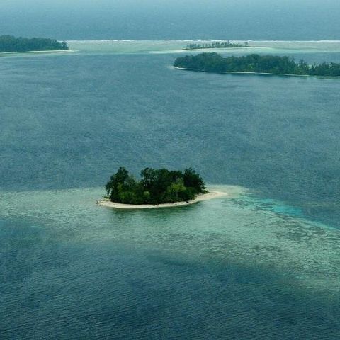Endangered: Mamma, mi son perso l'isola