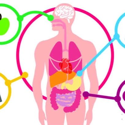 Proceso de digestión y absorción de macronutrimentos