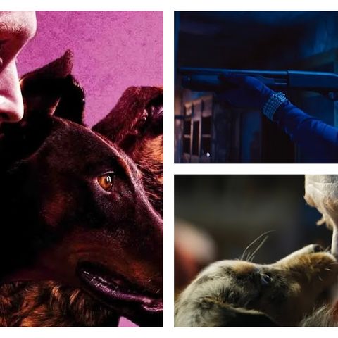 DOGMAN Review: Luc Besson's Crazy Canine Revenge Film