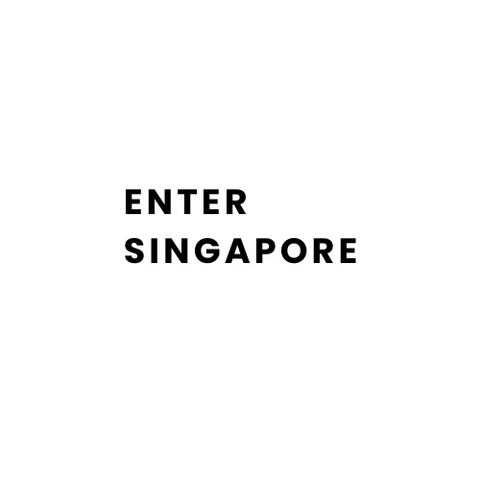 Enter Singapore Introduction
