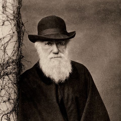Charles Darwin e l'ornitorinco