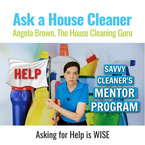 How Does the Mentor Program Work at Savvy Cleaner?