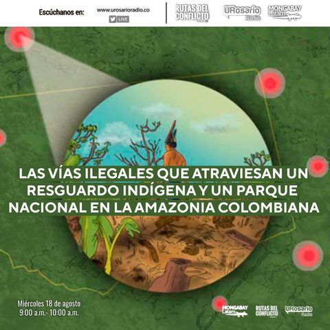 Vías ilegales en la Amazonía de Colombia