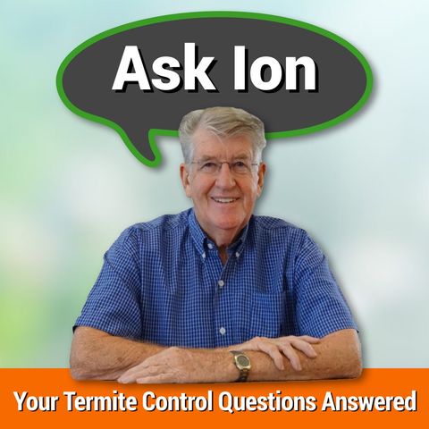 Termite Prevention - Do I Need To Apply Chemicals
