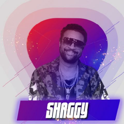 Shaggy