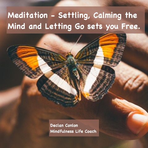 MEDITATION - Settling the Mind and Letting Go