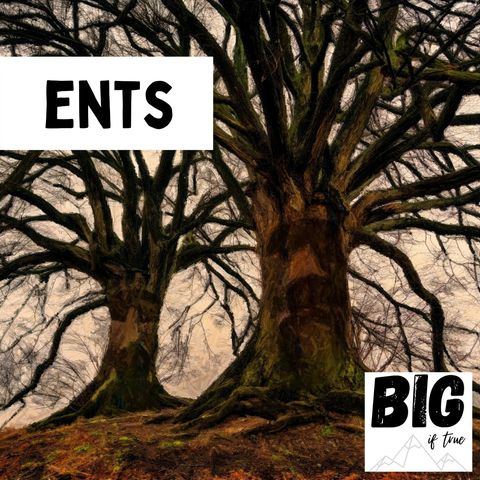 Ents