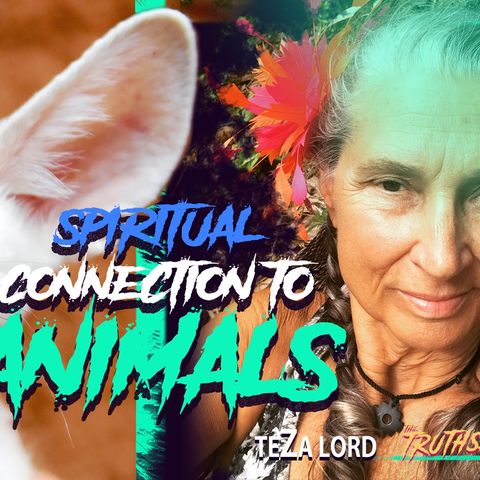 How To Be Taught By The Animals (Our Spiritual Role Models) - TeZa Lord