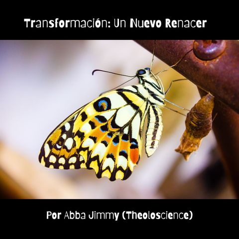 Transformación, un nuevo renacer