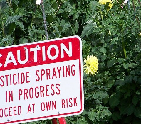 I pesticidi a base di fluoro conquistano il mercato e preoccupano gli scienziati