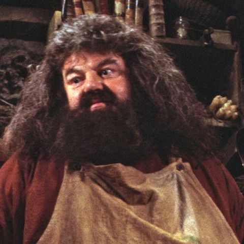 3 Times Hagrid Couldn't Keep a Secret
