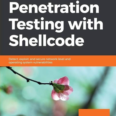 Penetration Testing with Shellcode