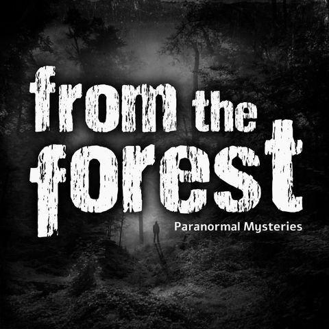 387: From The Forest, Ch16: Piles of Flesh, Predator in Tennessee & a Quiet Place