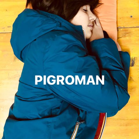 #tvn Pigroman